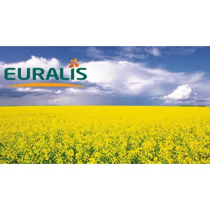 ES ODICE / ЕС ОДІС