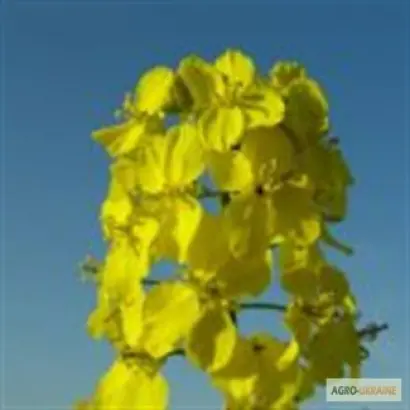 PR45D03 / ПР45Д03