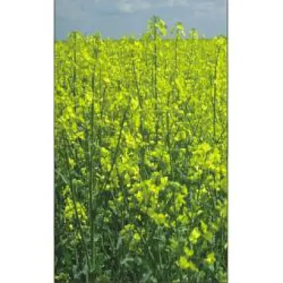 PR46W10 / ПР46В10