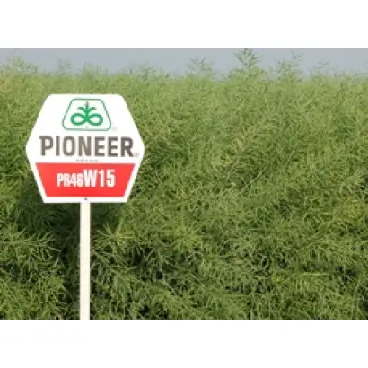 PR46W15 / ПР46В15