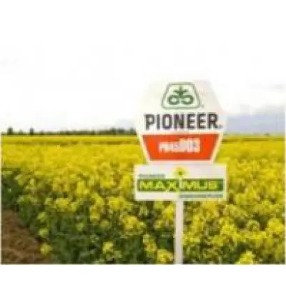 PX100CL / ПХ100СЛ