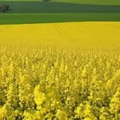 CLICK CL / КЛІК КЛ