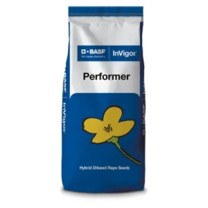 Performer / Перформер