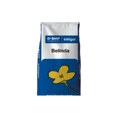 Belinda / Белінда