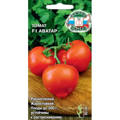 Avatar / Аватар