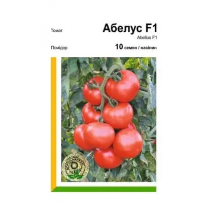 ALBRICE / АЛБРІС