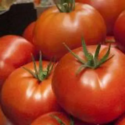 ALTADENA / АЛЬТАДЕНА