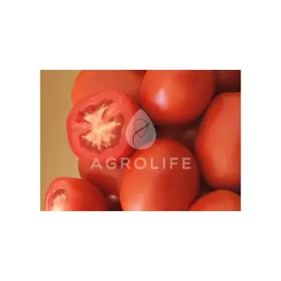 Arte F1 / Арте F1