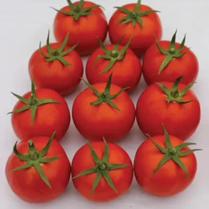 Baikonur / Байконур