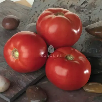 Bella Rosa / Белла Роса