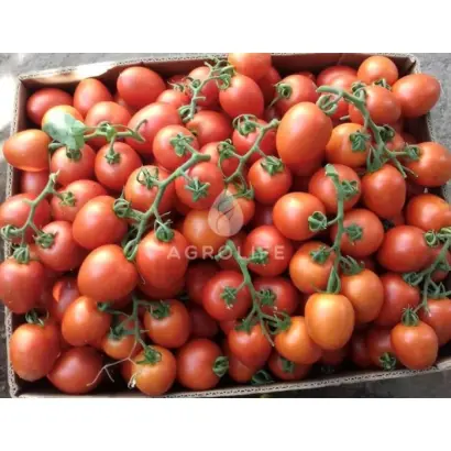 BILBAO / БІЛЬБАО