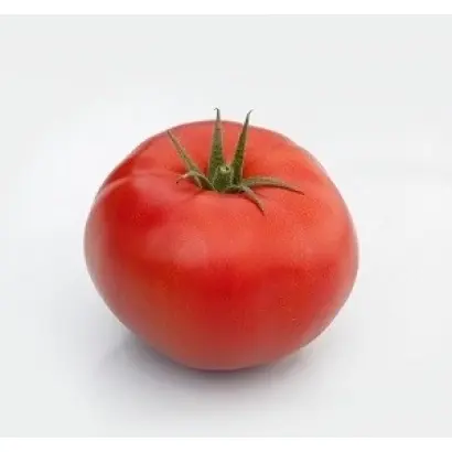 BOLENA / БОЛЕНА