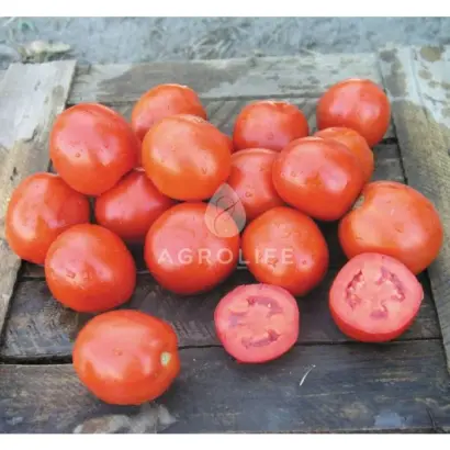 Vulcan / Вулкан