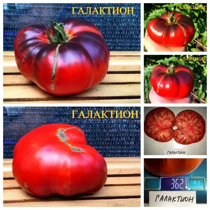 Galiceno / Галіцено