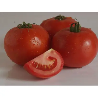 Dyson / Дайсон