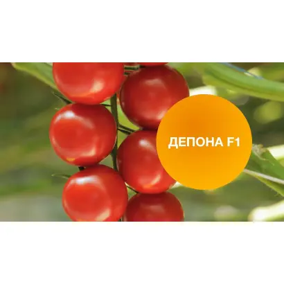 DEPONA / ДЕПОНА