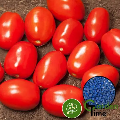 Derica / Деріка