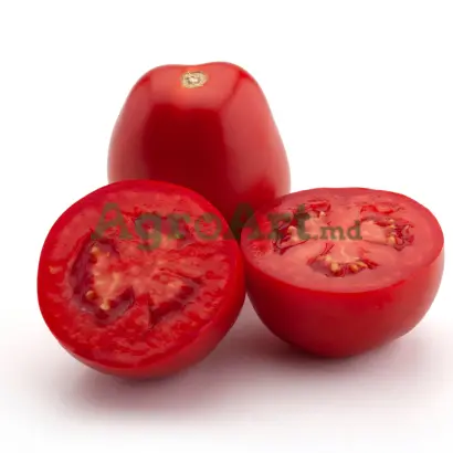 ENOTRIO / ЕНОТРІО