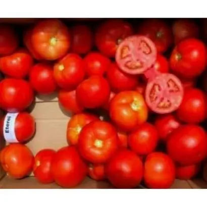 Eterei / Етерей