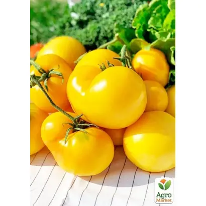 Золота осінь