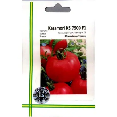 Kasamori F1 / Касаморі F1