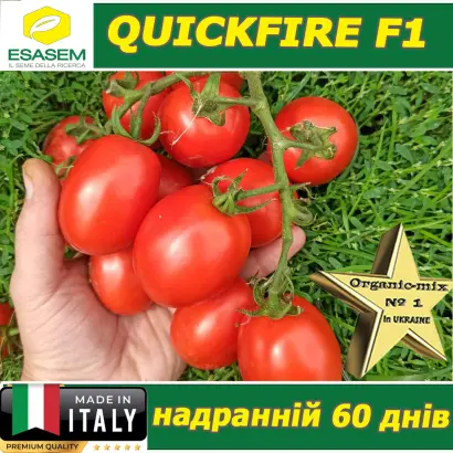 Quickfire / Квікфаєр