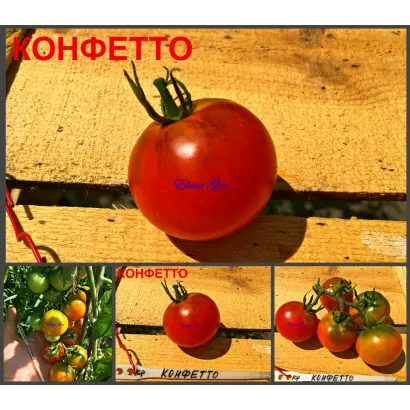 Confetto / Конфетто