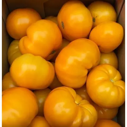 Kumbulu / Кумбулу