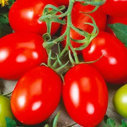 Лагидный / Лагідний