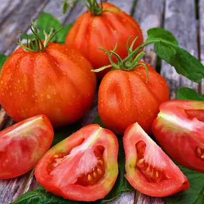 Lucioso / Лусіозо