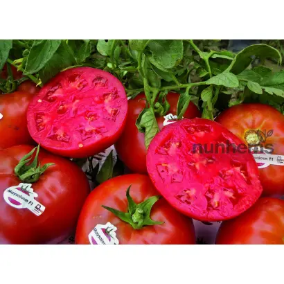 Maysaloun / Майсалун