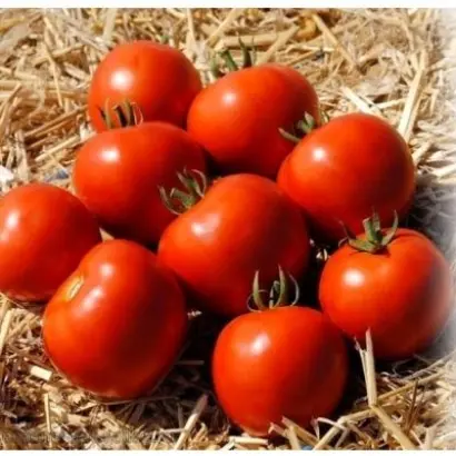 MAMAKO / МАМАКО