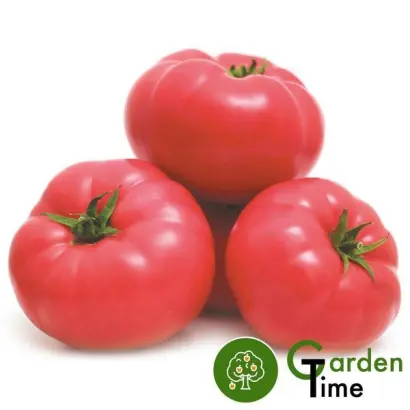 Mei Shuai / Мей Шуаі