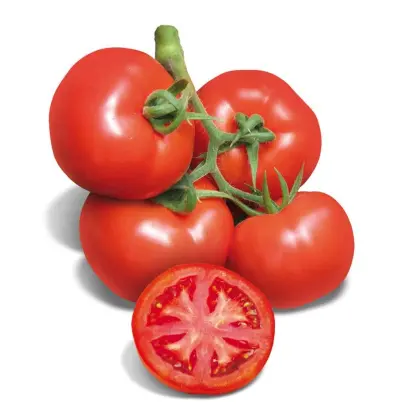 Partova / Партова