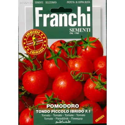 PICCODONA / ПІККОДОНА