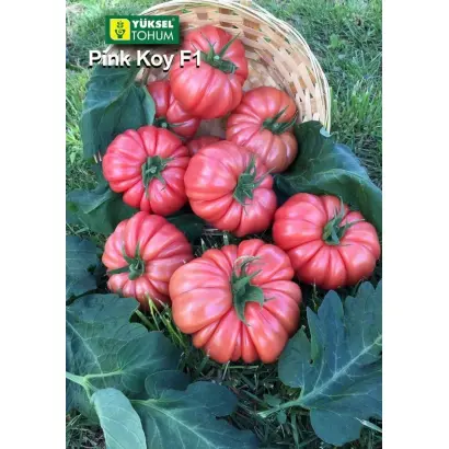 Pink koy / Пінк Кой