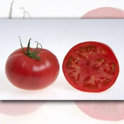 Pink Rise / Пінк Райз