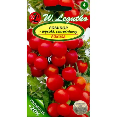 Pokusa / Покуса