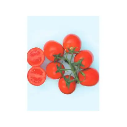 Progress F1 / Прогресс F1