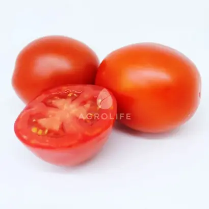 Просідон F1 / Просідон F1