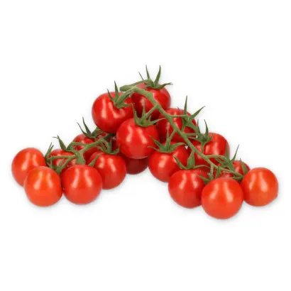 Rexoso / Рексозо