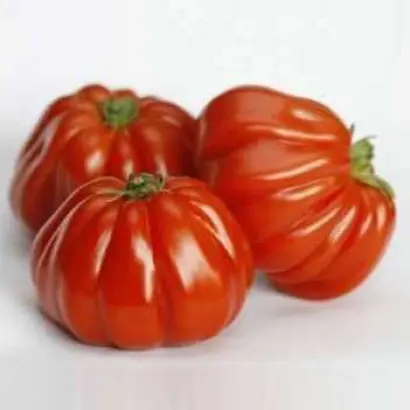 Rugantino / Ругантіно