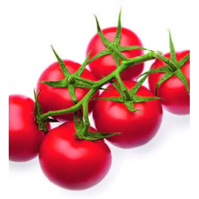 Sevance / Севанс