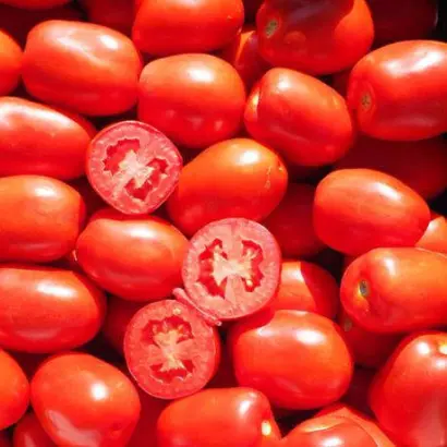 Sentosa / Сентоса