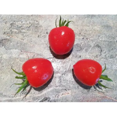 Strabena / Страбена