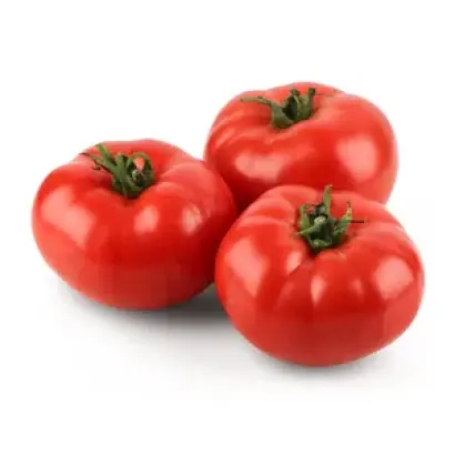 TORELINO / ТОРЕЛІНО