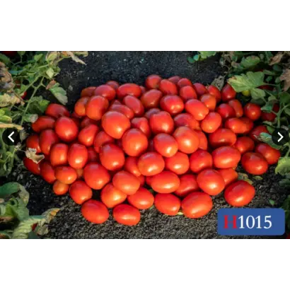 Нeinz 1015 / Хайнц 1015