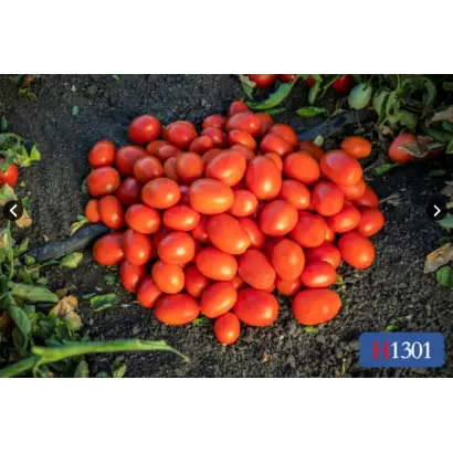 Heinz1301 / Хайнц1301