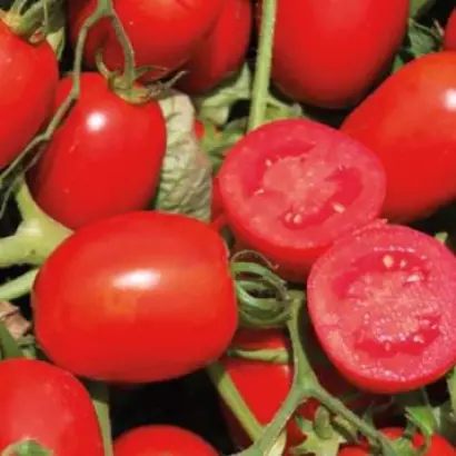 Heinz1648 / Хайнц1648