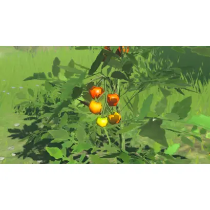 Hyrule / Хайрул